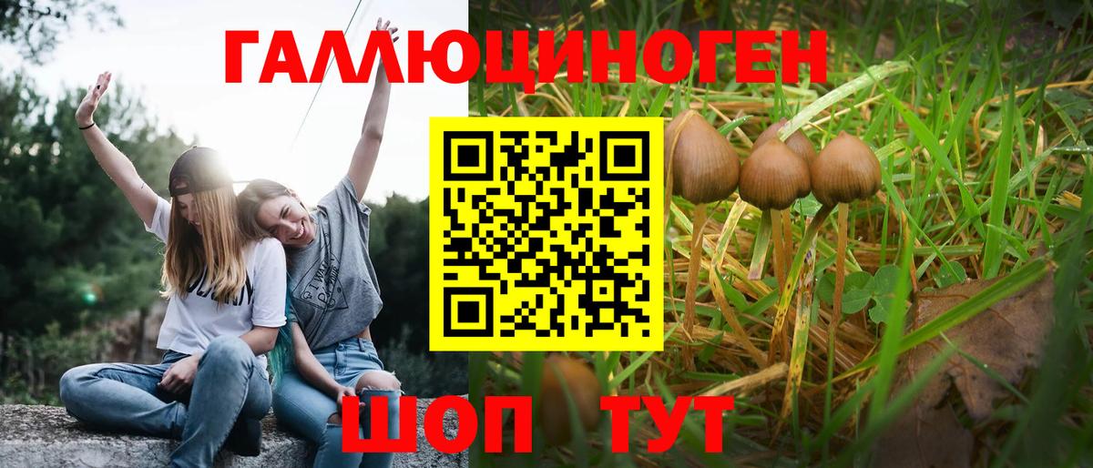 Псилоцибиновые грибы Magic Shrooms Коммунар