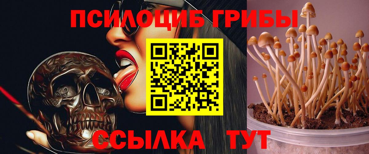 Коммунар  Галлюциногенные грибы GOLDEN TEACHER  Вход с VPN  Галлюциногенные грибы Cubensis 